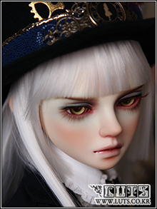 Senior65 Delf TERRA Ver.65