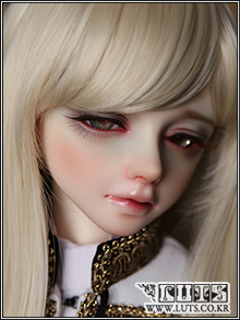 Senior65 Delf BLISS Ver.65