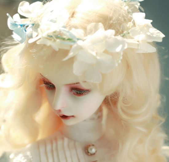 DollZone Amelia – BJDivas