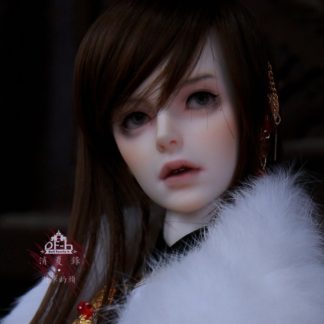 DF-H Adviser Lou Yunci