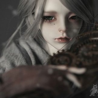 DollZone Gray