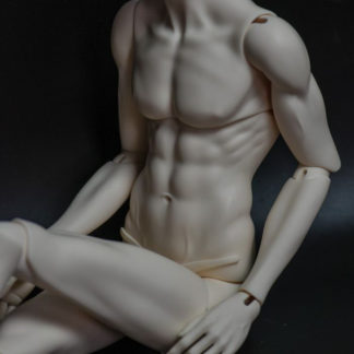 75cm Male Body