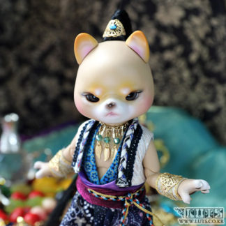 Zuzu Delf SIBA - JINN Limited