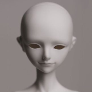 Dream Valley Grayson (head)