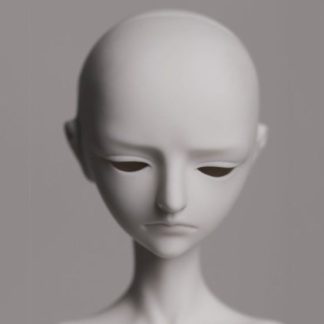 Dream Valley Cayes (head)