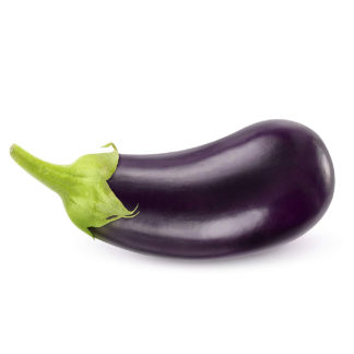 DF-H Genitals Set for Male Dolls