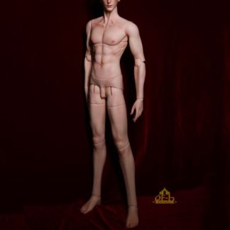 DF-H 75cm Male Body