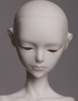 Dream Valley Seren (head)