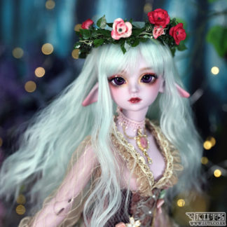 Model Kid Delf CARROT Elf ver. Limited