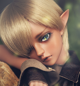 WITHdoll [JWD] Ash, The Elf Hunter