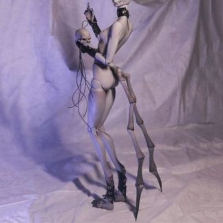 Miracle Doll Maoyou Beast Body