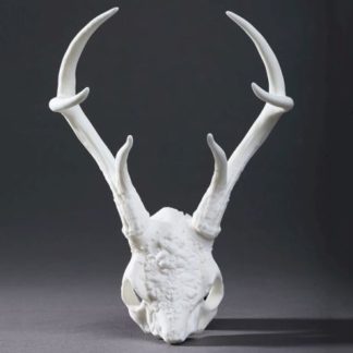 ADULT DOLL ACCESSORIES