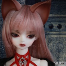 Model Delf ANI Romance ver.- NINE TAILS Limited