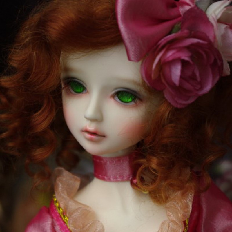 Dollzone roasted ada
