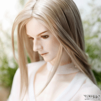 Super Senior Delf SHINE