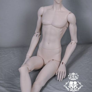 68cm Male Body