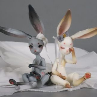 Dream Valley Lily/Coco