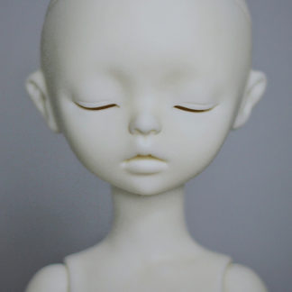 Dream Valley Sweet chirp (head)