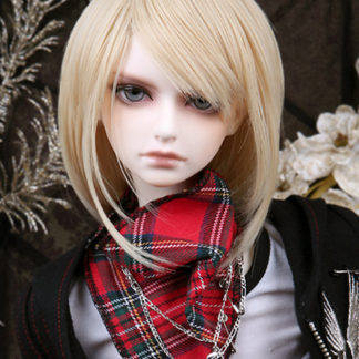 Super Senior Delf REGEN