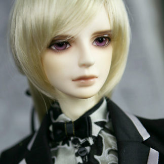 Super Senior Delf LANDY