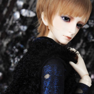 Super Senior Delf PHENIX