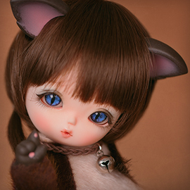 [BWD] Cats - Siamese Sarah