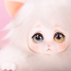 [BWD] Persian Cat Sugar