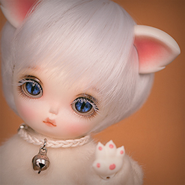 [BWD] Cats - Turkish Angora Tara