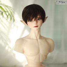 2020 Winter Event Head SSDF~SDF Size + Senior Delf BOY Torso