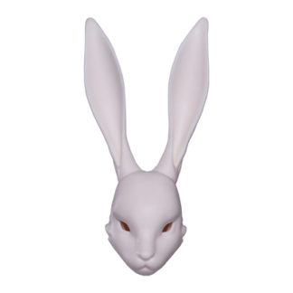 LIMITED EDITION HEADS