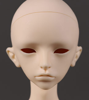 Dream Valley Dean Ⅱ (head)