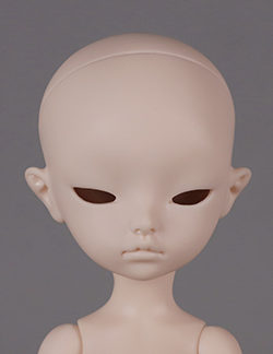 Dream Valley Zircon (head)