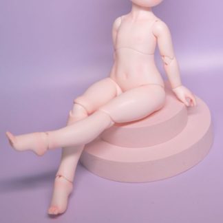 DF-H Chubby 1/6 Body