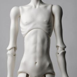 ADULT DOLL BODIES