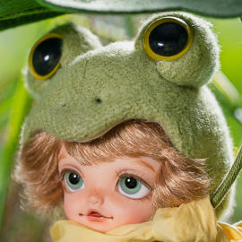 [BWD] Baby Frog Chubby