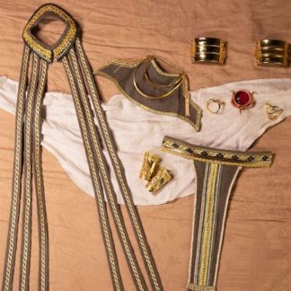 Dream Valley C4-30 (Rah's Eagle Version Outfit)