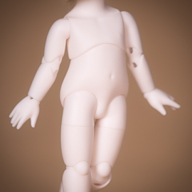 [BWD] 16cm Body (2022 Ver.)