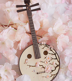 Loong Soul Musical instrument FH-069 Goddess of Flowers-Nv Yi