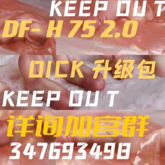 DF-H Genitals Set for 75cm Male Body (ver. 2)