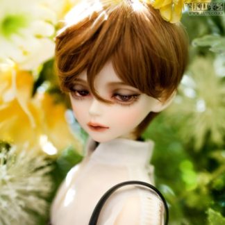 GIFT 2022 Summer Event KDF Head