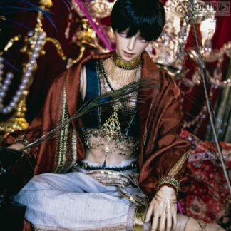 GSDF Ganymedes Set (limited)