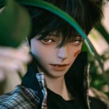 Super Senior Delf DAWN