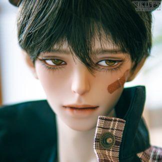 Super Senior Delf DAWN head Limited