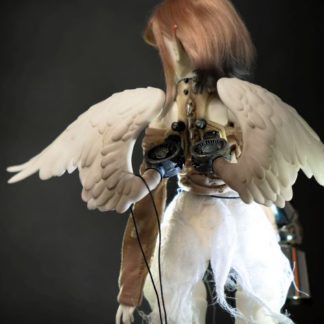 Coral Reef Angel Wings Set