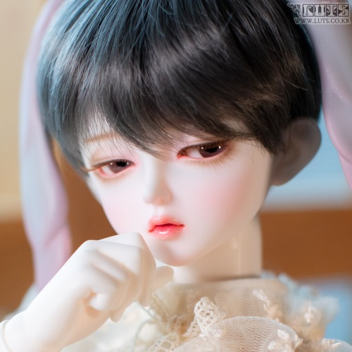 Senior Delf Muse LENNON Romance ver Head Limited