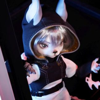 Dream Valley Dangerous Zone Neil