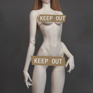 DF-H 68cm Female Body (slim)