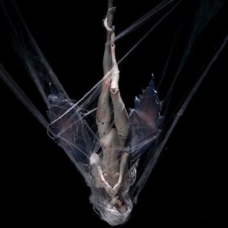 DollZone The Hanged Man