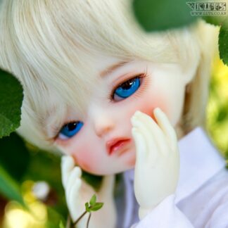 LUTS Honey Delf MOCHI Romance ver. Head Limited