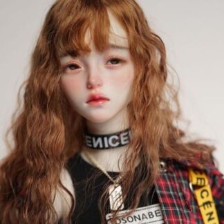 TianBa Polly (HEAD ONLY)